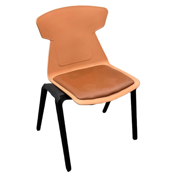 Cushion Seat + Plastic Frame Restaurant Chair Best