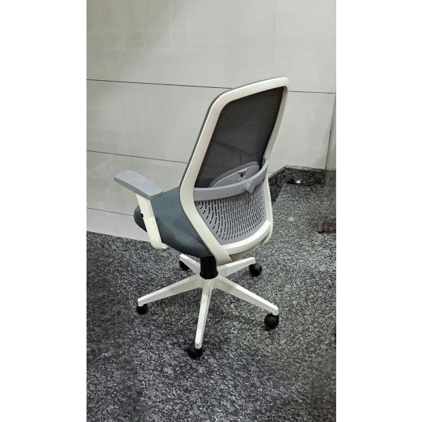 Lumber Support Mesh Office Chair: Comfort Meets Functionality