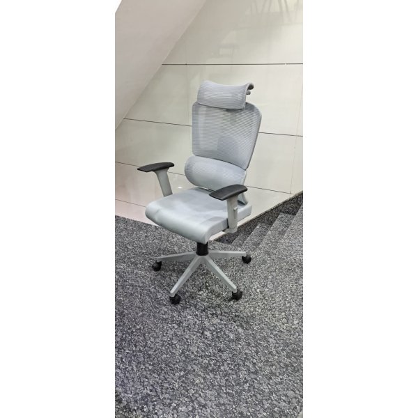 Lumina Mesh Chair - Your Ultimate Office Companion