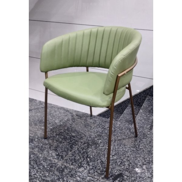 Restaurant Chair in Cushion (Green)