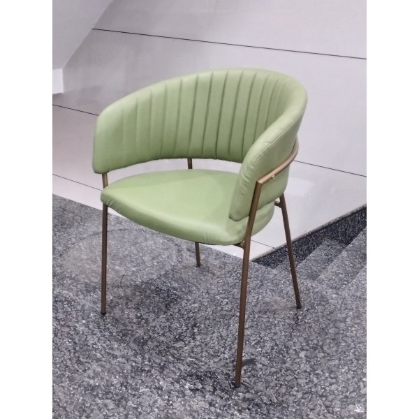 Restaurant Chair in Cushion (Green) Best