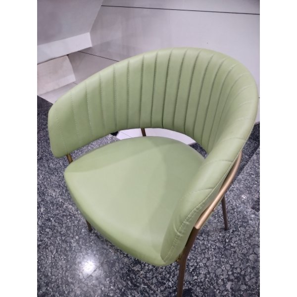 Restaurant Chair in Cushion (Green) Design